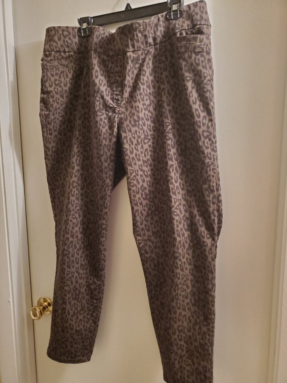 Leopard Pants - Picture 2 of 6
